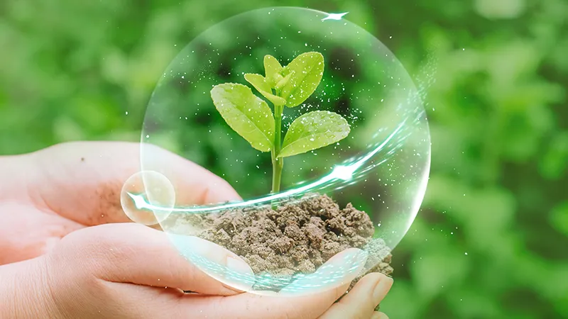 Sustainability & Social Responsibility Green Promise