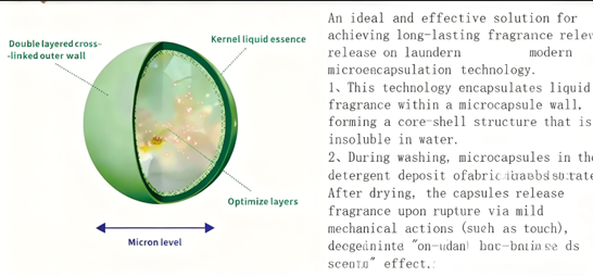 Microcapsule structure of long-lasting fragrance​