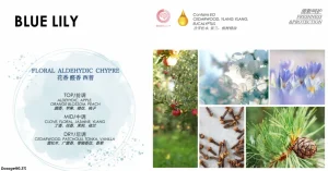 Natural-essential-oil-fabric-softener-Thailand