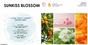 Premium-fabric-softener-fragrances-Thailand