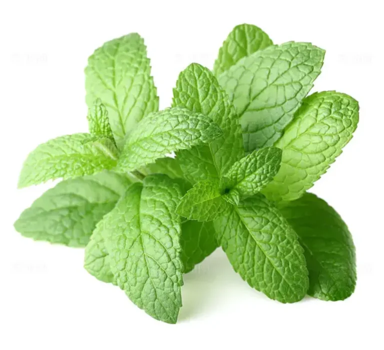 Fresh Fragrance IFRA Standard