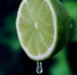 High Quality Fresh Fragrance